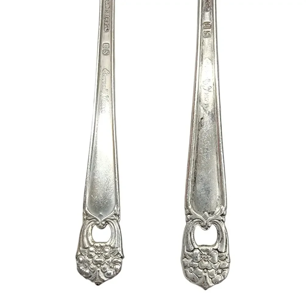 1847 Rogers Bros Eternally Yours Silverplate Teaspoon Flat Butter Knife Set